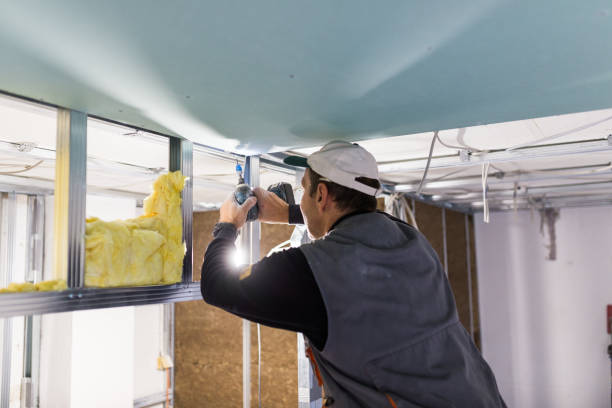 Best Insulation Installation Services in Syracuse, UT